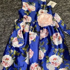 Gorgeous blue garden party dress